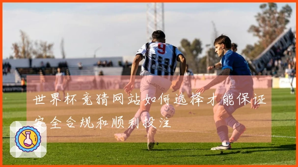 世界杯竞猜网站如何选择才能保证安全合规和顺利投注