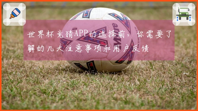 世界杯竞猜APP的选择前，你需要了解的几大注意事项和用户反馈