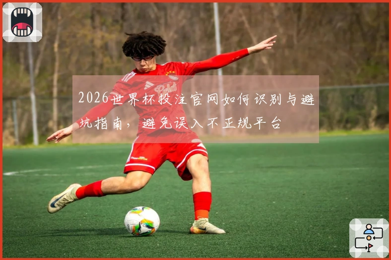 2026世界杯投注官网如何识别与避坑指南，避免误入不正规平台