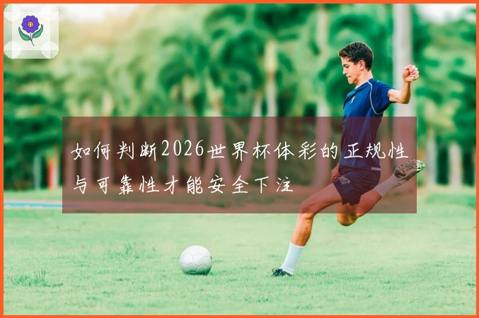 如何判断2026世界杯体彩的正规性与可靠性才能安全下注