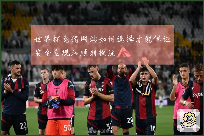 世界杯竞猜网站如何选择才能保证安全合规和顺利投注