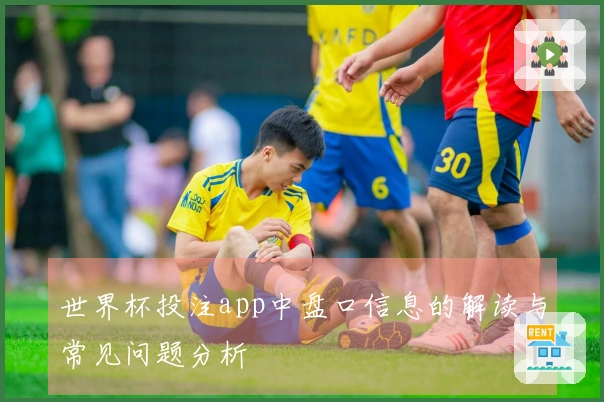 世界杯投注app中盘口信息的解读与常见问题分析