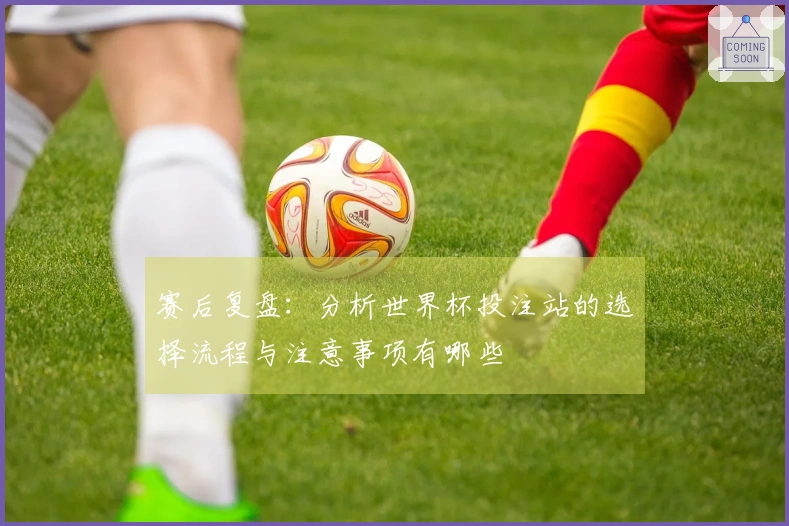 赛后复盘：分析世界杯投注站的选择流程与注意事项有哪些