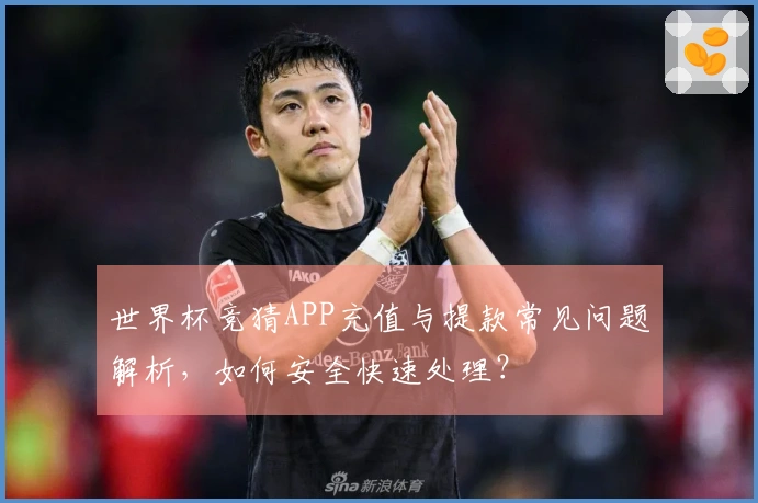 世界杯竞猜APP充值与提款常见问题解析，如何安全快速处理？