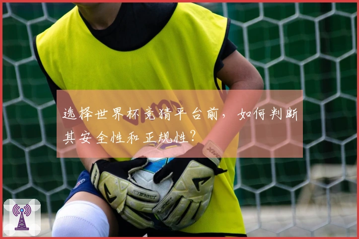 选择世界杯竞猜平台前，如何判断其安全性和正规性？