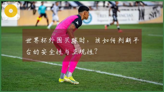 世界杯外围买球时，该如何判断平台的安全性与正规性？
