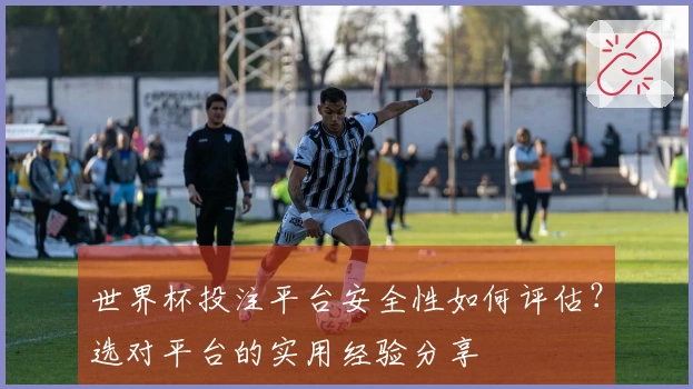 世界杯投注平台安全性如何评估？选对平台的实用经验分享