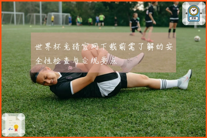 世界杯竞猜官网下载前需了解的安全性检查与合规要点