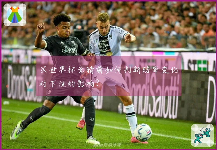 买世界杯竞猜前如何判断赔率变化对下注的影响？