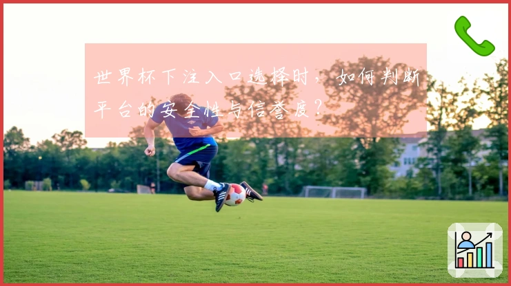 世界杯下注入口选择时，如何判断平台的安全性与信誉度？