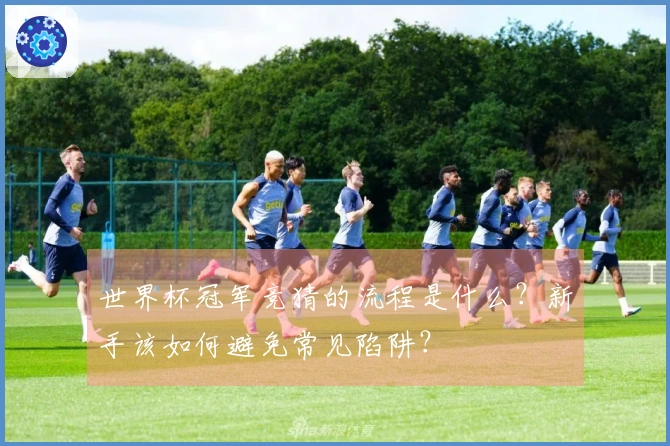世界杯冠军竞猜的流程是什么？新手该如何避免常见陷阱？