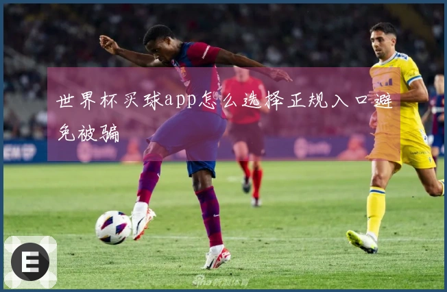 世界杯买球app怎么选择正规入口避免被骗
