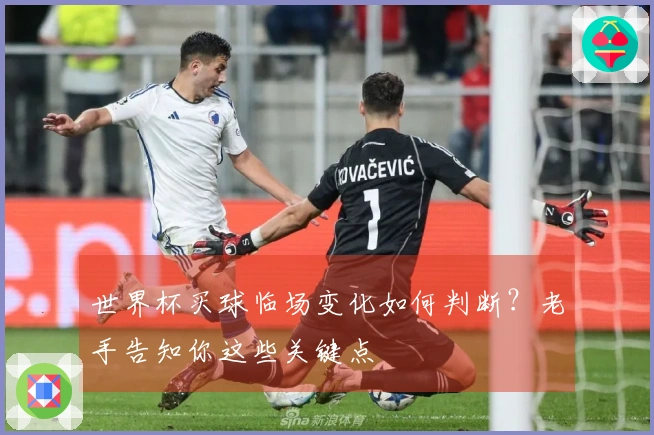 世界杯买球临场变化如何判断？老手告知你这些关键点
