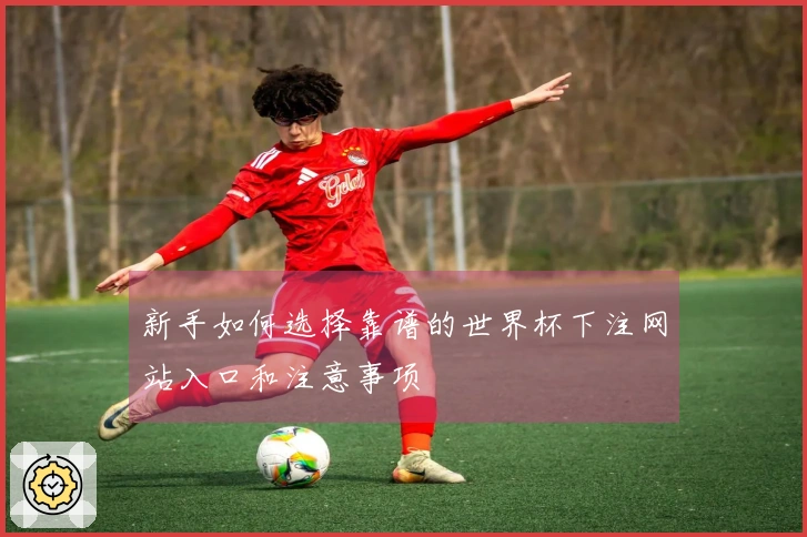 新手如何选择靠谱的世界杯下注网站入口和注意事项