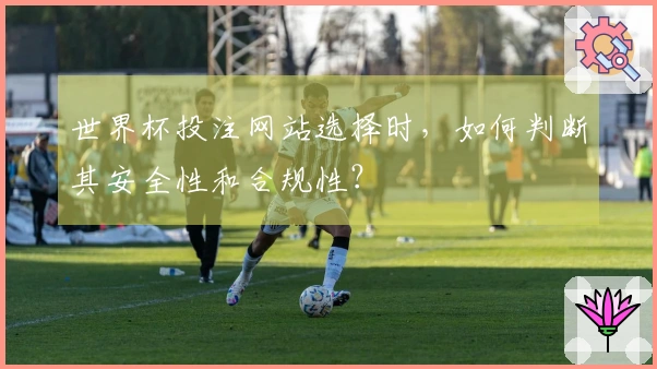 世界杯投注网站选择时，如何判断其安全性和合规性？