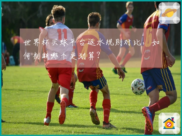 世界杯买球平台返水规则对比，如何判断哪个更划算？