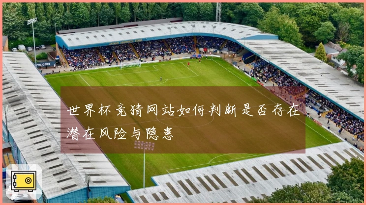世界杯竞猜网站如何判断是否存在潜在风险与隐患