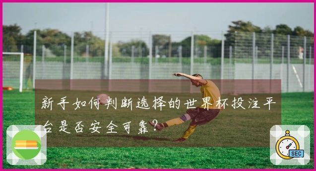 新手如何判断选择的世界杯投注平台是否安全可靠？