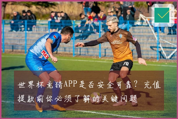 世界杯竞猜APP是否安全可靠？充值提款前你必须了解的关键问题