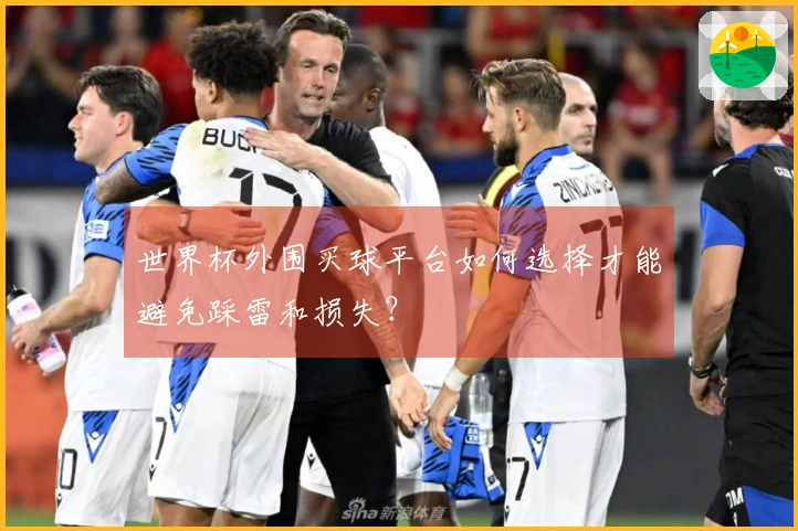 世界杯外围买球平台如何选择才能避免踩雷和损失？