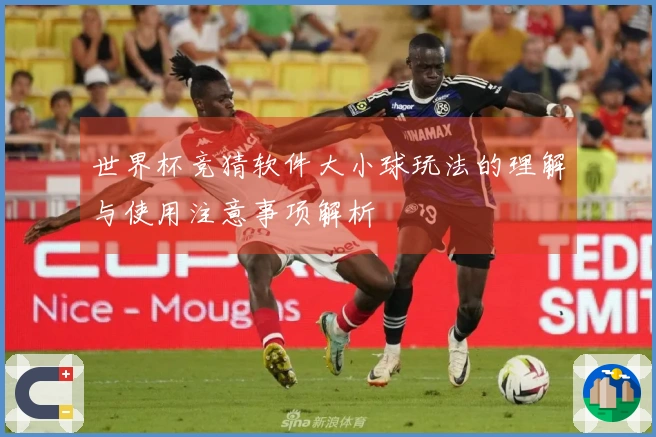 世界杯竞猜软件大小球玩法的理解与使用注意事项解析