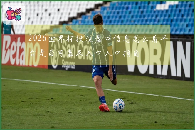 2026世界杯投注盘口信息怎么看平台是否可靠及入口入口指南