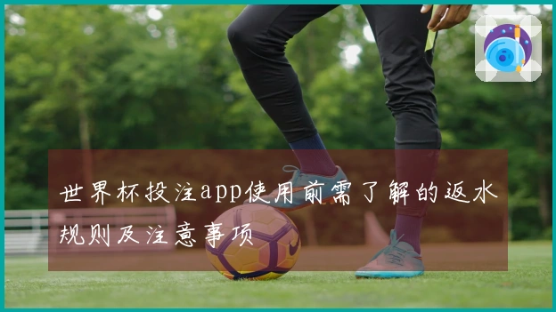 世界杯投注app使用前需了解的返水规则及注意事项
