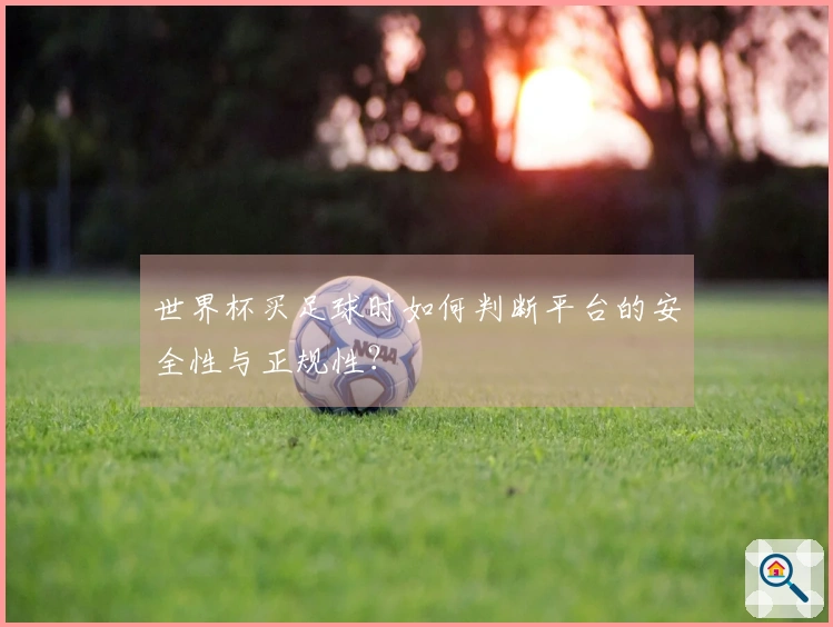 世界杯买足球时如何判断平台的安全性与正规性？