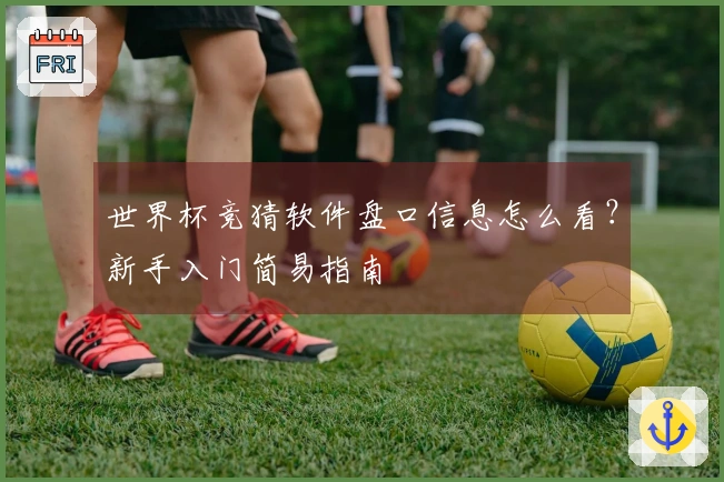 世界杯竞猜软件盘口信息怎么看？新手入门简易指南