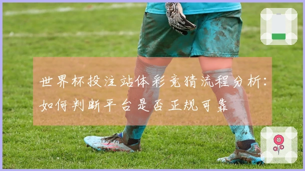 世界杯投注站体彩竞猜流程分析：如何判断平台是否正规可靠