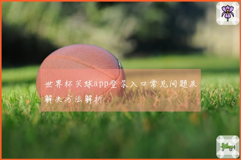 世界杯买球app登录入口常见问题及解决方法解析