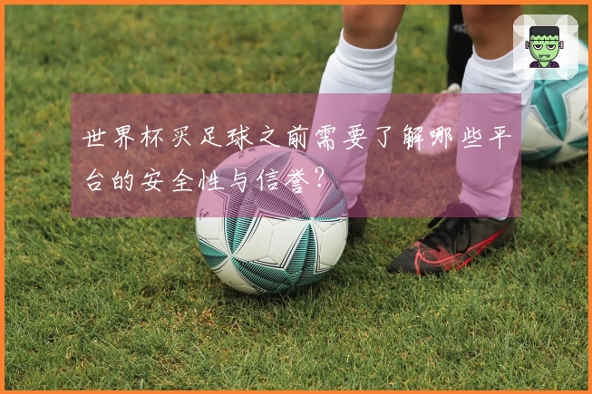 世界杯买足球之前需要了解哪些平台的安全性与信誉？
