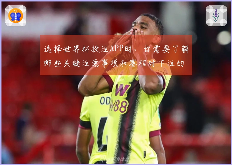 选择世界杯投注APP时，你需要了解哪些关键注意事项和赛程对下注的影响？