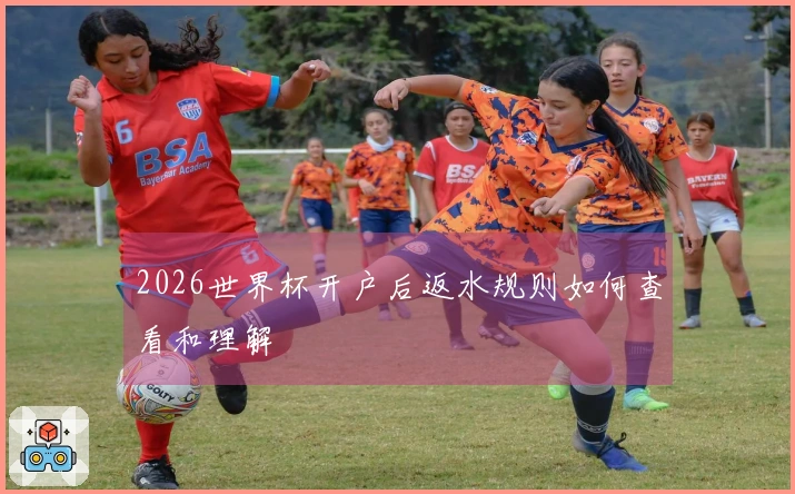 2026世界杯开户后返水规则如何查看和理解