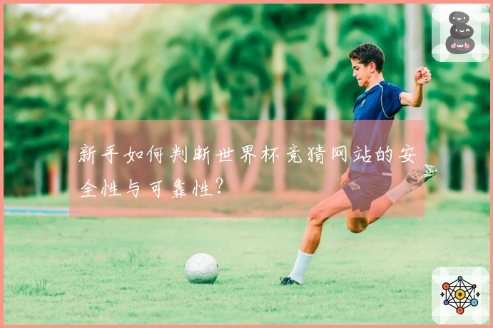 新手如何判断世界杯竞猜网站的安全性与可靠性？