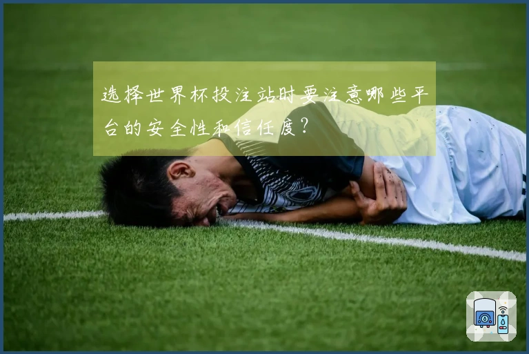 选择世界杯投注站时要注意哪些平台的安全性和信任度？