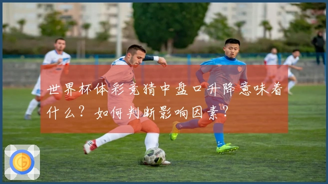 世界杯体彩竞猜中盘口升降意味着什么？如何判断影响因素？