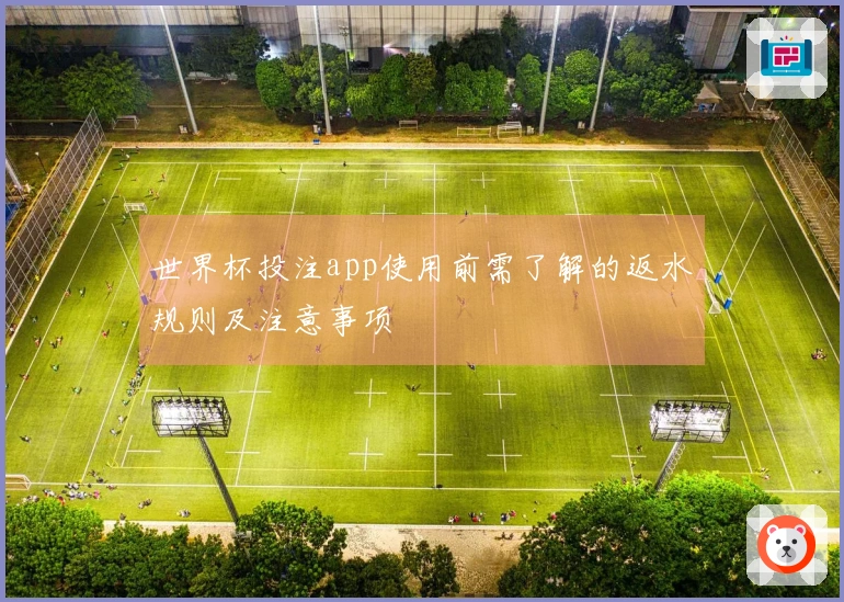 世界杯投注app使用前需了解的返水规则及注意事项