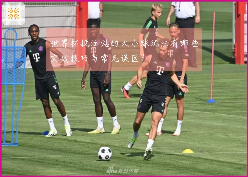 世界杯投注站的大小球玩法有哪些实战技巧与常见误区？